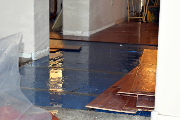 Professional Basement Flooding technician working in Harvard, MA